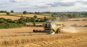 Combine harvester. Picture created by AI 
